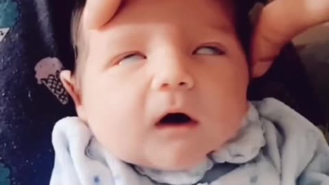 a selection of interesting and funny videos 🤣