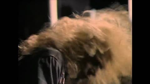 Def Leppard - Love Bites