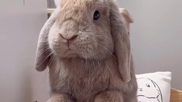 Mommy don't know that I took a snack