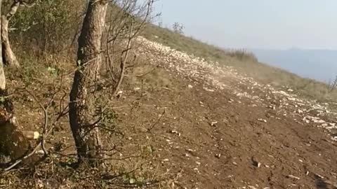 Motorcycles on Mount