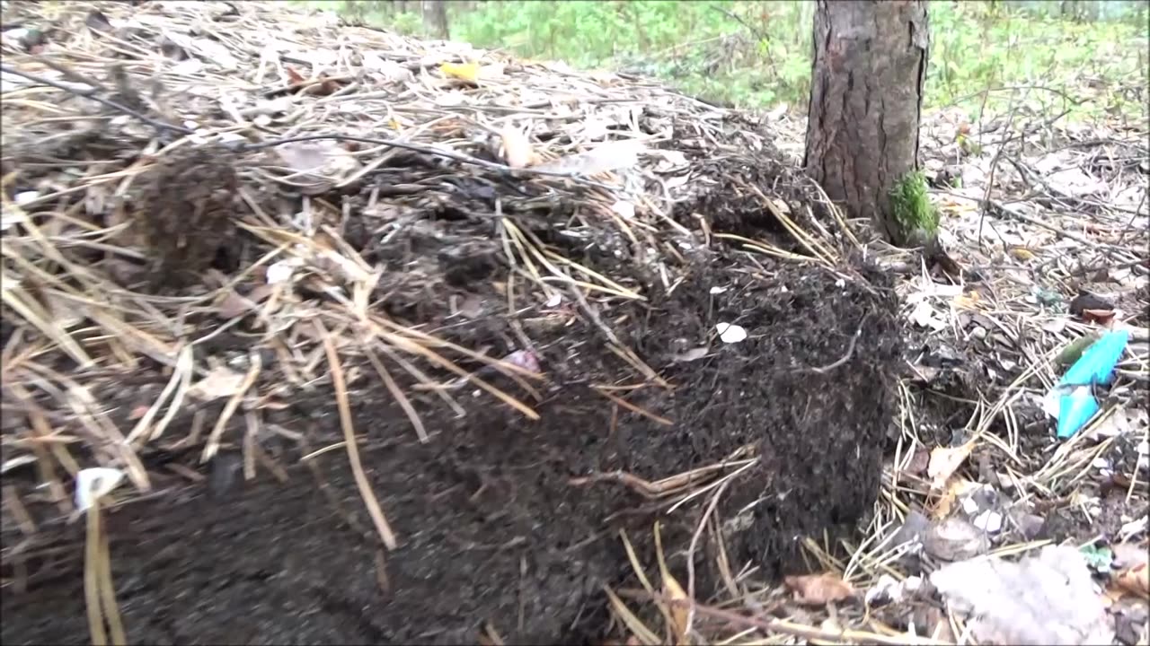 Urbaaneja metsälöytöjä Nummelasta