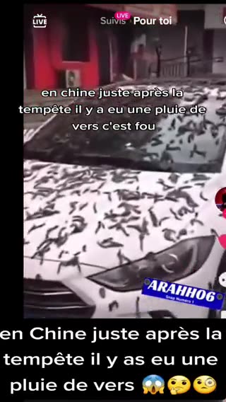 Chuvas de vermes na china