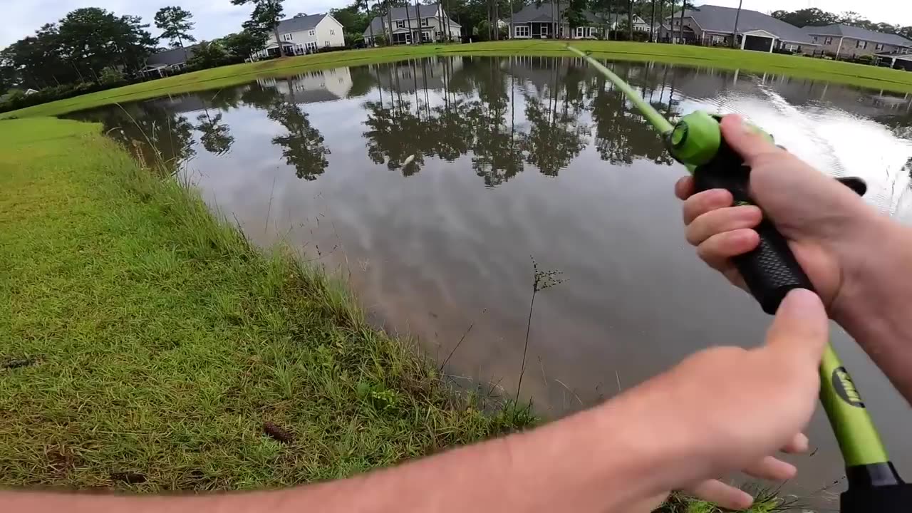 Fishing Topwater FROGS for GIANT Bass