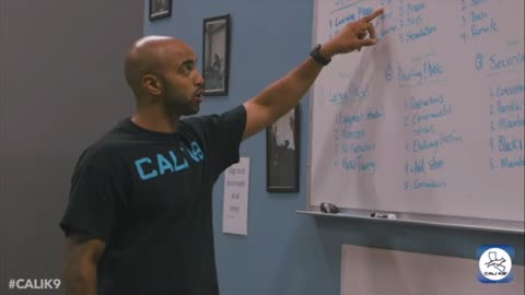 MODERN DOG TRAINIG - CALIK9