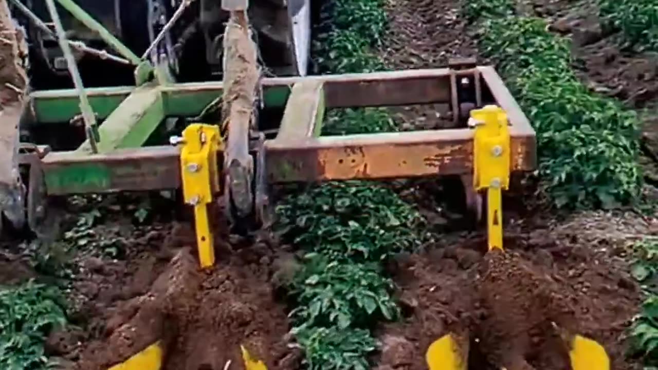 CRC vídeos curiosos