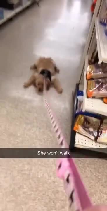 She don't wanna walk