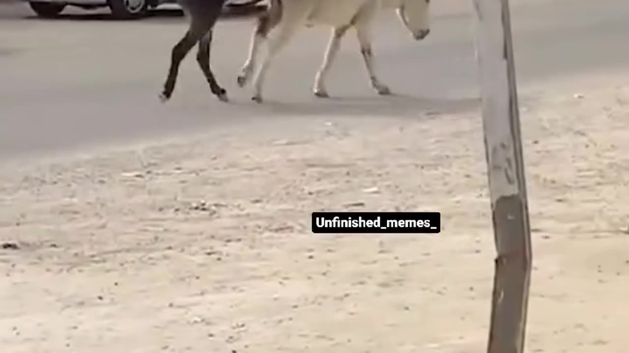 Funny