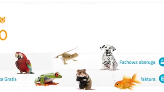 Online pet shop mikrozoo