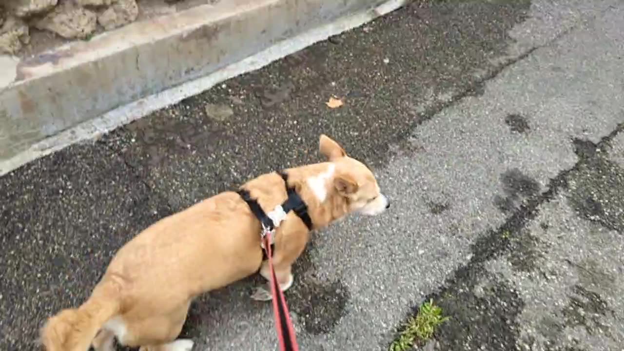 2023-03-08 (1) - Live irl pour @gun_won - Twitch Meutemediatique