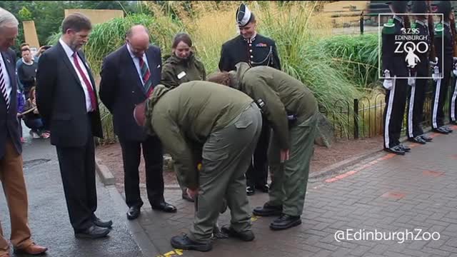 Sir Nils Olav promoted to Brigadier by Norwegian King's Guard