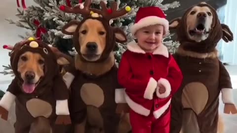 Rate the cuteness in the comments 😍🐶 Tag your friends to make ‘em join our Family ♥️