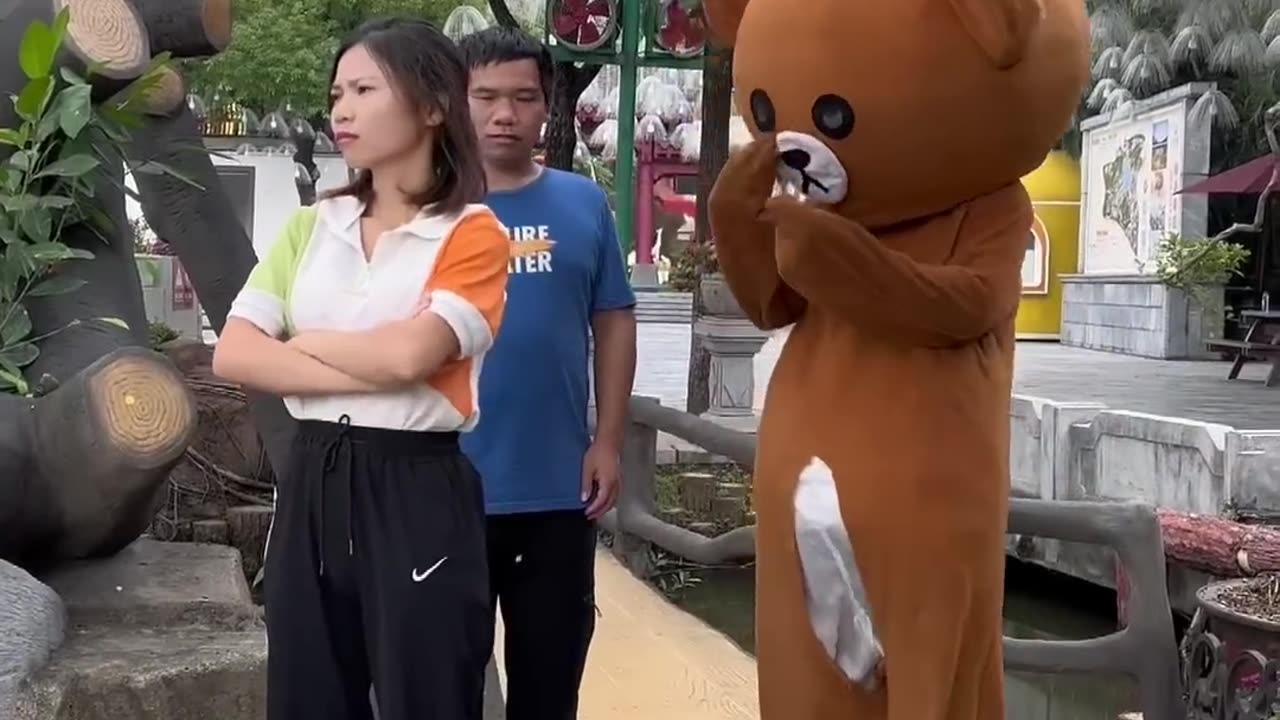 Funny video | Funny Bear