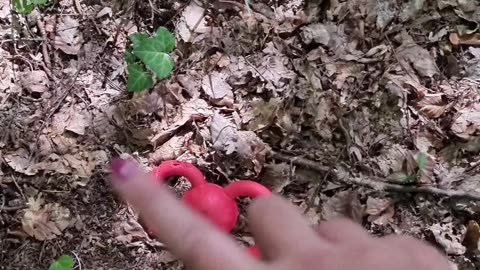 Trash can be found in the forest #shorts #shortvideo