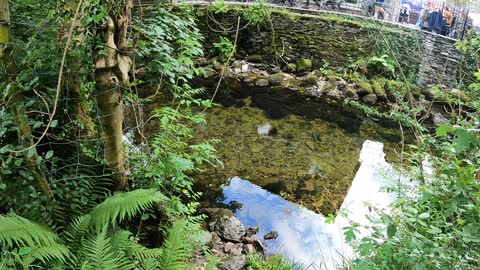 Speedlapse and normal speed. Riverside walk... Grasmere. Lake district. JULY 2022