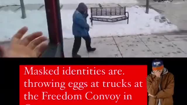 Some masked individual throwing eggs at Truckers