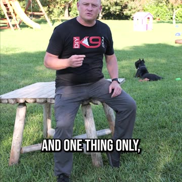 Stop Getting Two Puppies From the Same Litter!