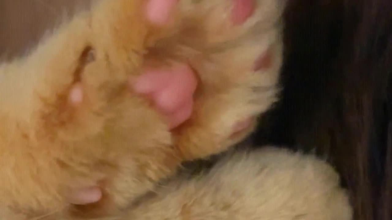 Cute little pink paws, let me give them a couple of kisses.