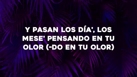 Bad Bunny - Ojitos Lindos (Letra-Lyrics) ft