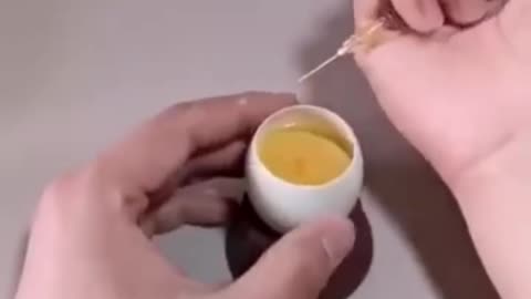 How a chick born from an egg