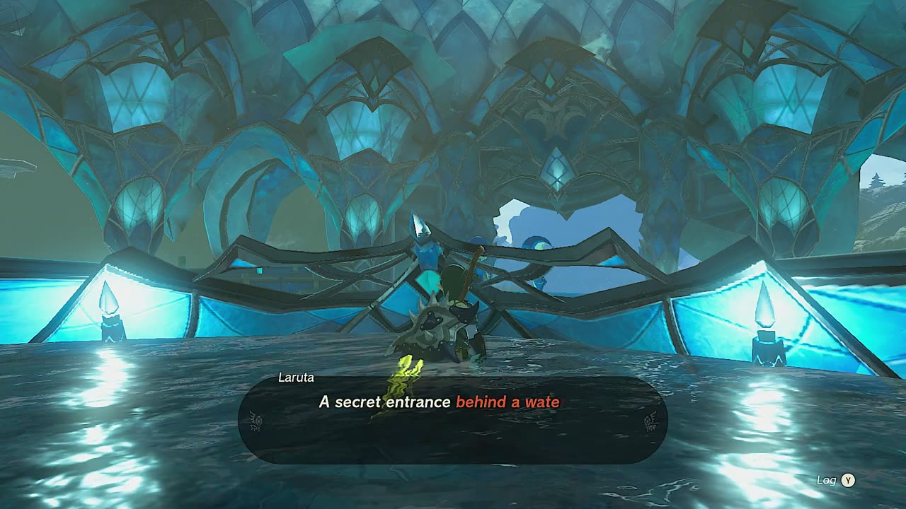 Tears Of The Kingdom : The Legend Of Zelda.