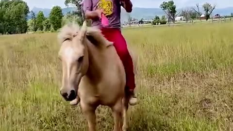 Funny videos