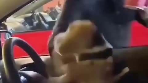 Random Funny Clips 😂😂😂 #funnyvideo #funnyclips #viral #reels #entertainment #funny #cuteanimals