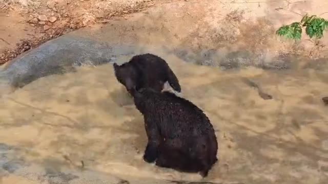 How to Kill each Other in the pool