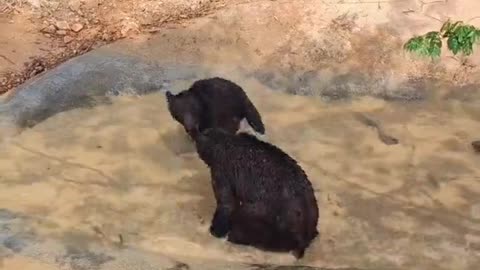 How to Kill each Other in the pool