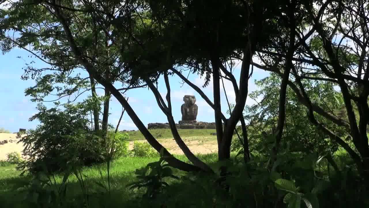 Easter Island Anakena Ahu Ature Huke through tree 8