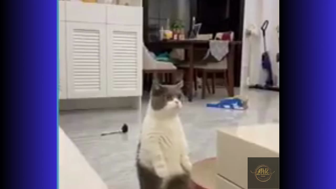 The Best of Funny Fails: Epic Blunders and Laugh-Loud Mishaps Condensed for Your Amusement!ENJOY!