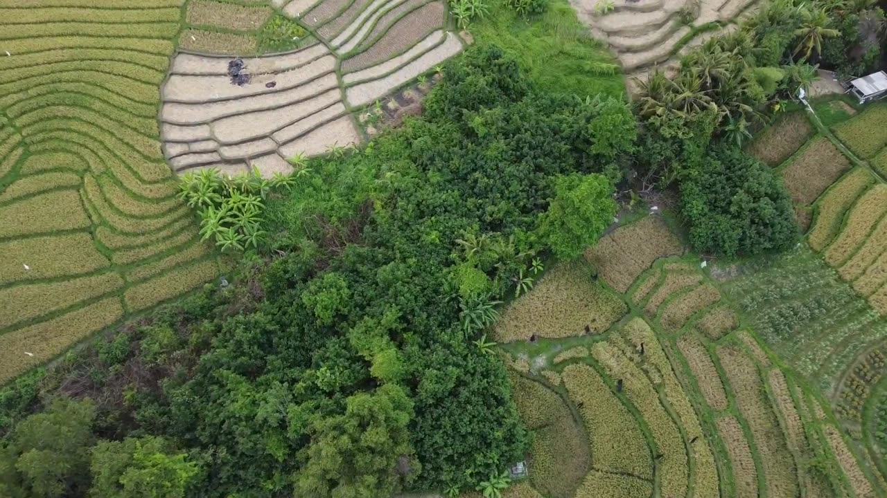 Indonesia | Beach | Mountains | Bali | Fields | No Copyright footage