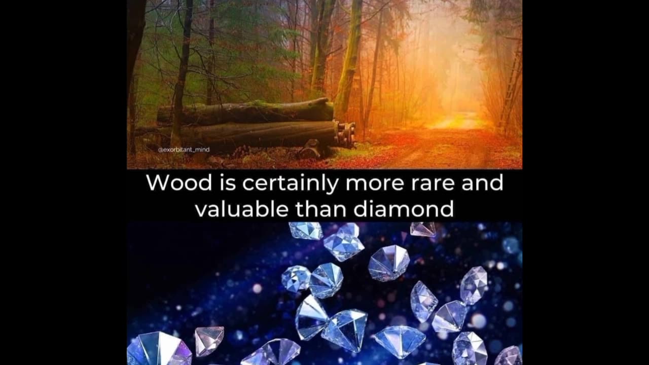Information for intelligent 🧠 people's #for you
