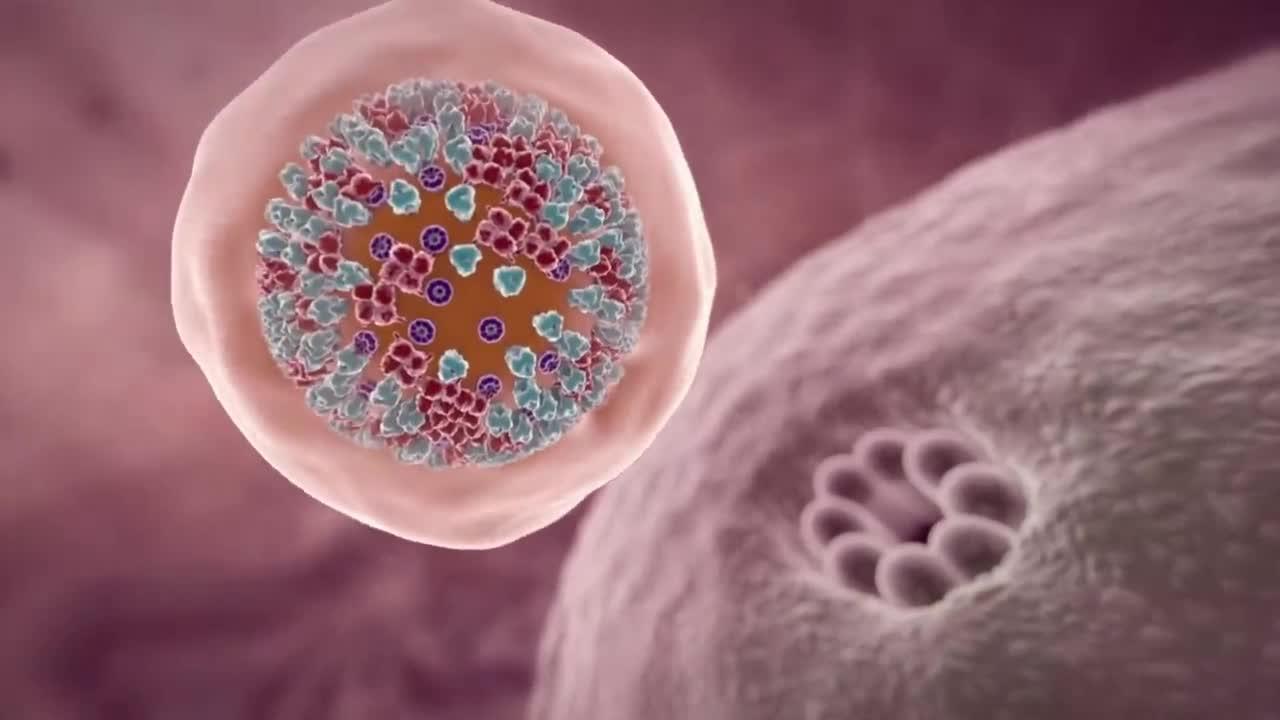 What happand if u get covid virus