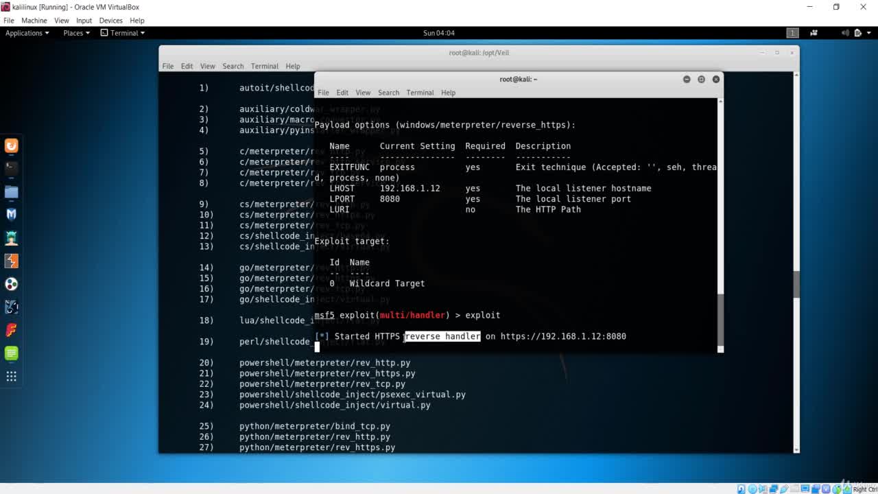 Hacking with Kali Linux 18/22