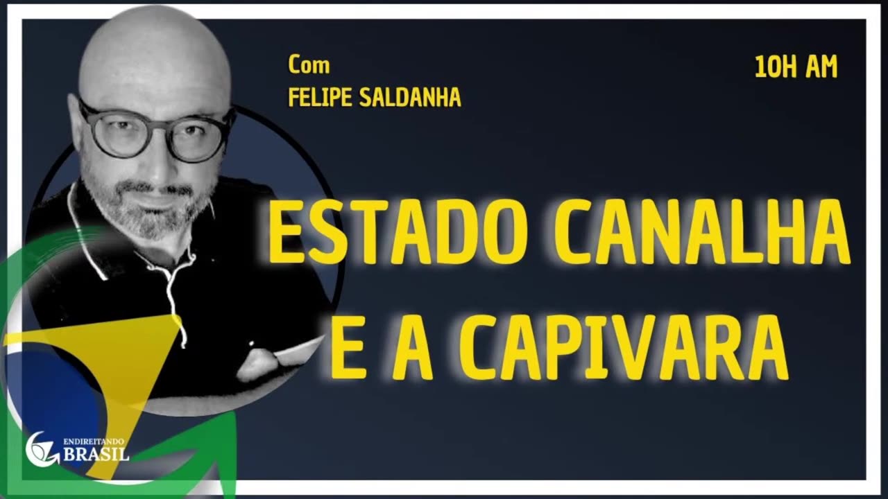 ESTADO CANALHA E A CAPIVARA by Saldanha - Endireitando Brasil