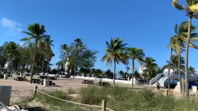 Surviving Nicole in Fort Lauderdale🇺🇸🐊