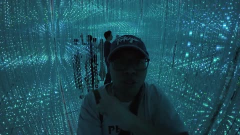 teamlab Borderless Tokyo