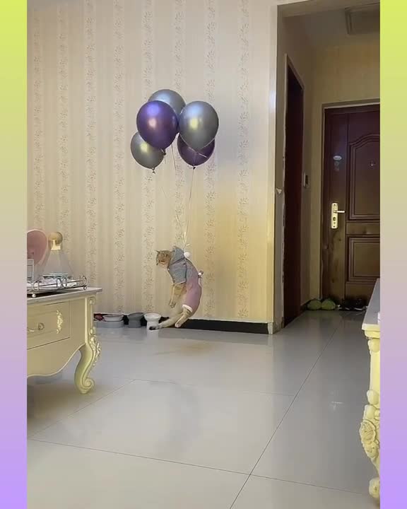 Comment Now My Pet happy birthday #rumble