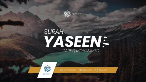 Surah Yaseen | Qari Tareq Mohammed | سورة يس | القارئ طارق محمد