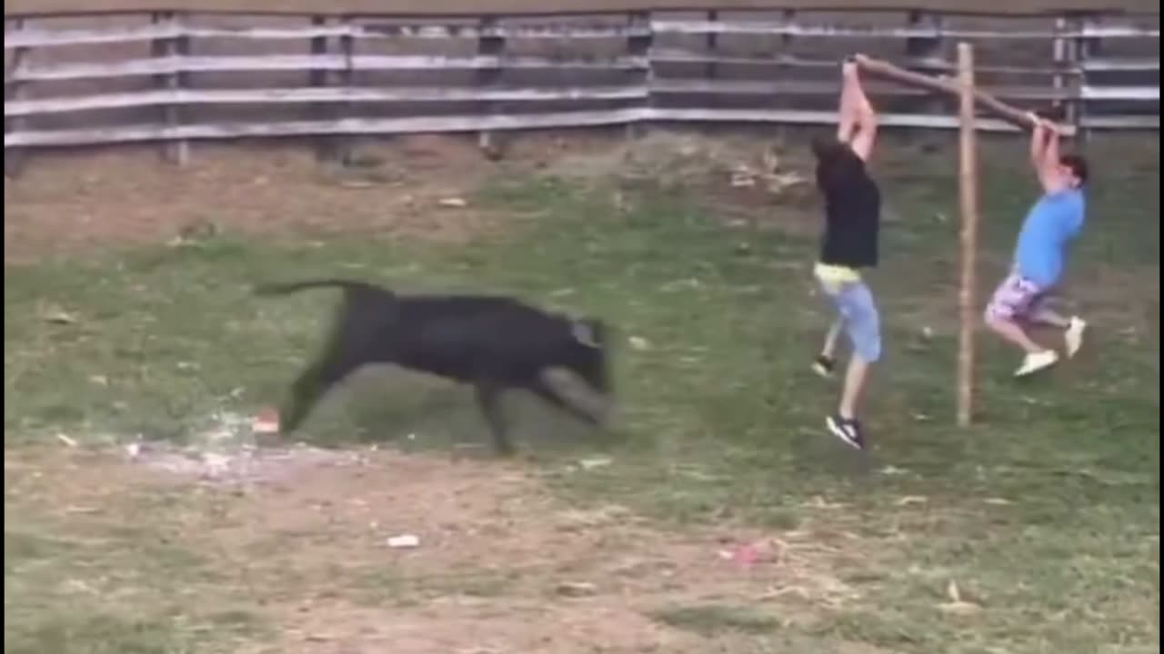 That masculine urge to try this because you think you can do better.