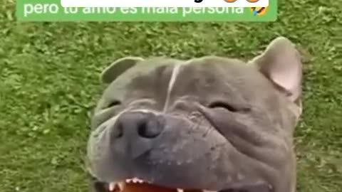 Blinking cutie 🤣🤣