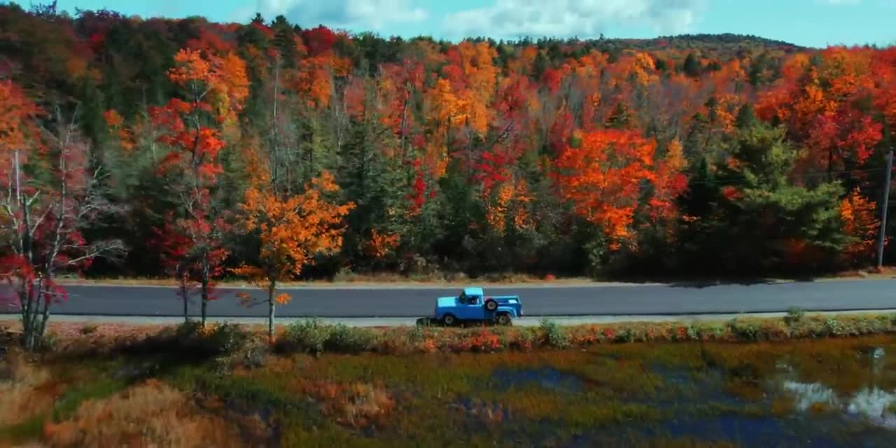 The Beauty of Peak Fall Foliage 🍁 Autumn in New England Part 1-19