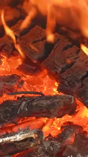 Whole cauldron of fresh fish from the mountain river in sauce baked in the oven !