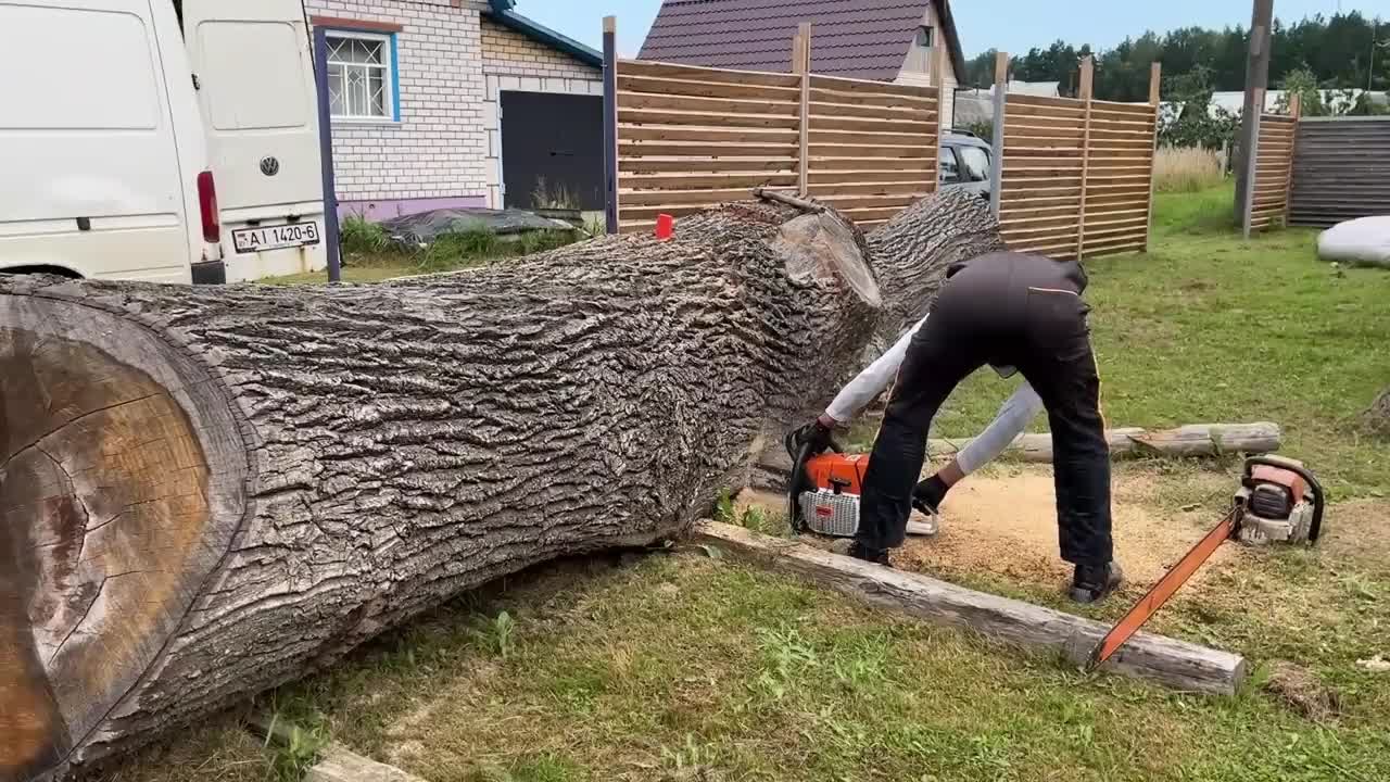 Dangerous operation of chainsaws and blunt chains!