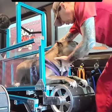 The RUN DAWG Mobile Dog Training Facility