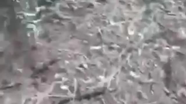 Ukrainian counteroffensive rebelled by Russian forces