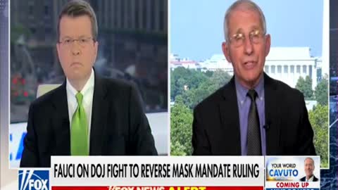 Fauci Admits the Truth