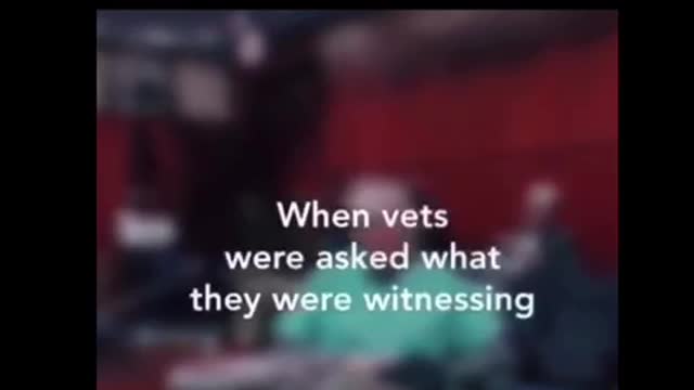 애완동물,가축 등에게 백신 맞히면 각종 병으로 죽어 간다고.