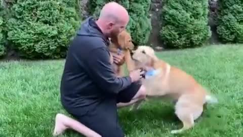 Doggie can't contain excitement when meeting new puppy 🥺🐶