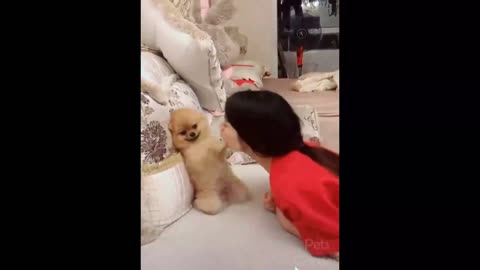 The woman trying to kiss her lovely dog